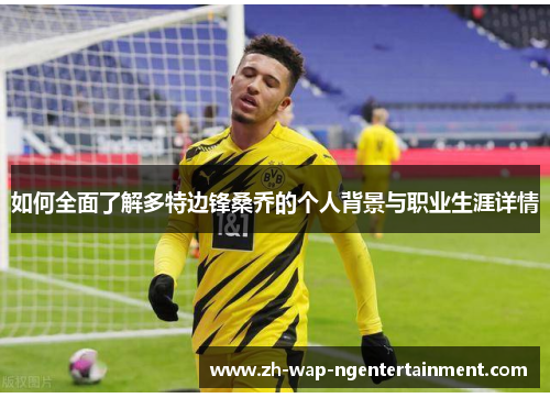 如何全面了解多特边锋桑乔的个人背景与职业生涯详情