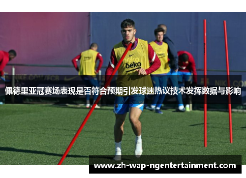 佩德里亚冠赛场表现是否符合预期引发球迷热议技术发挥数据与影响
